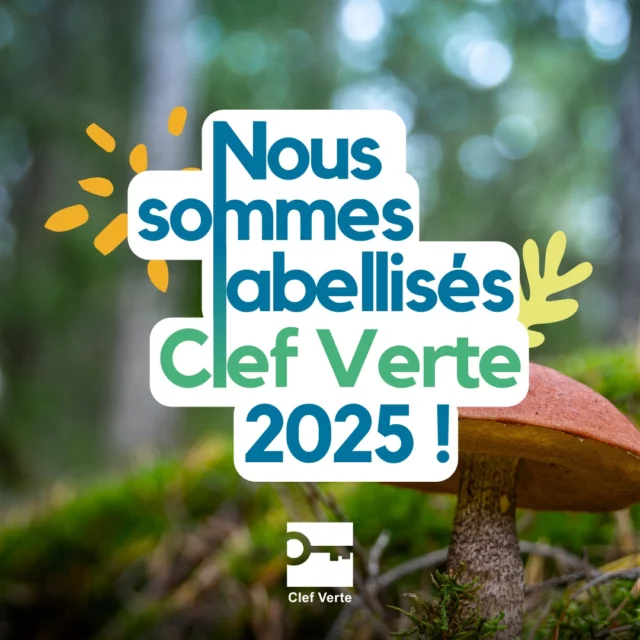 C'est officiel : Le Hameau les Gaties obtient le LABEL CLEF VERTE 2025 🍾
Merci à tous pour votre confiance ! En vrai plaisir que je vous partage.

N'hésitez pas à partager et liker cette publication 🙏🏼 #lesgaties 
@clef_verte @teragir.
 #mybourgogne #mybourgogne #labourgogne #ClefVerte2025 #clefverte #clefverte2025